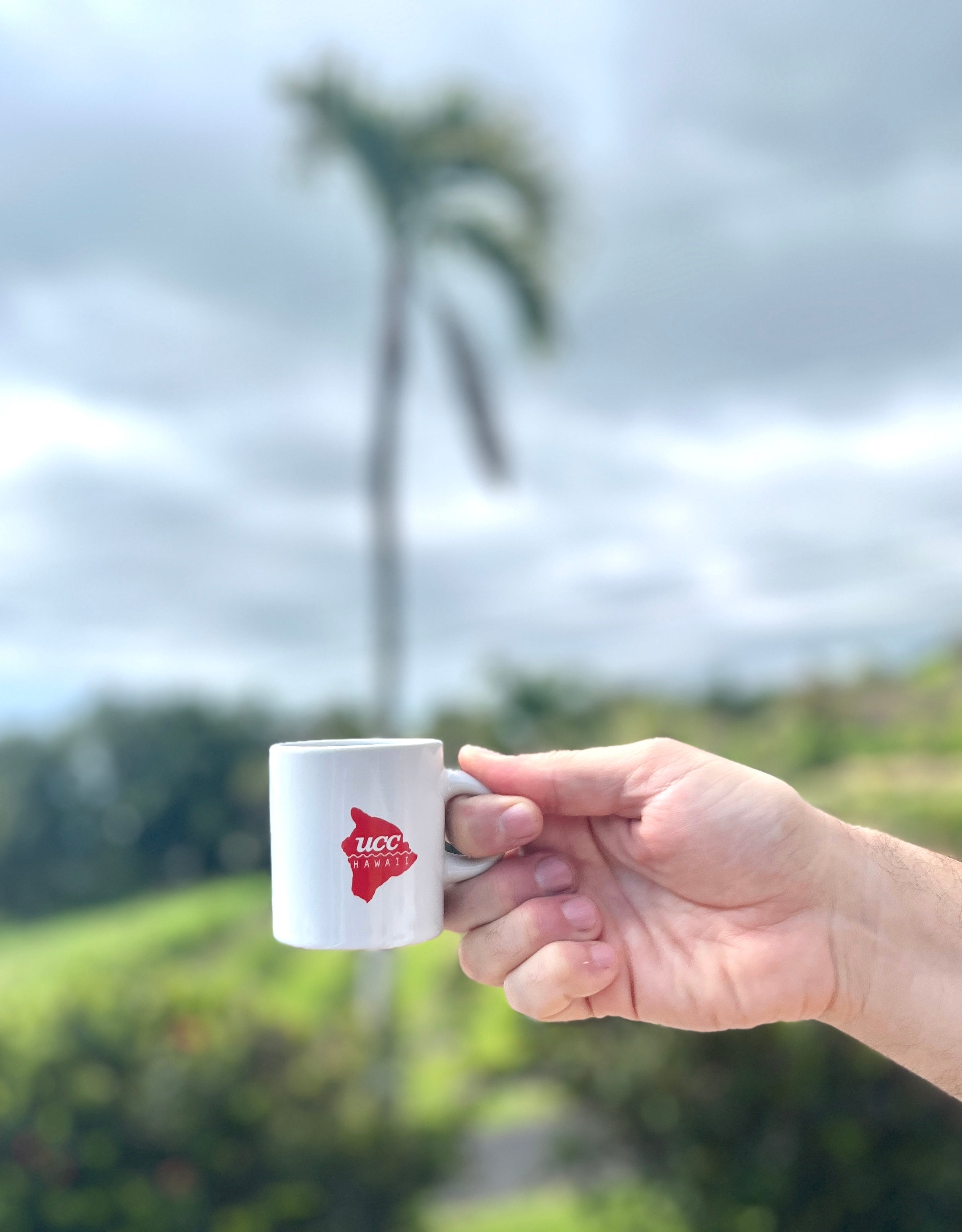Big Island Mini Mug – UCC HAWAII